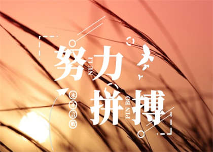 烟台大学考研资讯