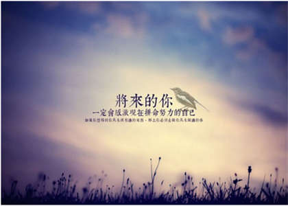 烟台大学考研资讯